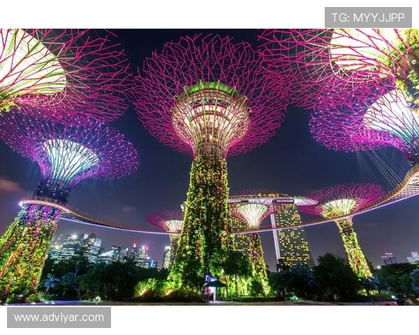 K8入口中心全面升级助力用户体验提升打造行业领先的数字化入口解决方案